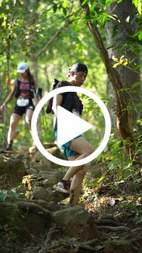 BIB:  <button type="button" onclick="openModal(27639539)" class="btn btn-primary btn-sm float-right" data-toggle="modal" data-target=".modal-high-quality">
                <i class="fa fa-download"></i> Download
                </button>